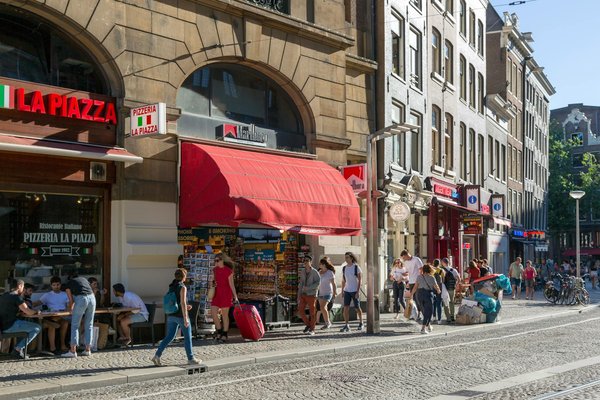 Explorez la nature : votre manuel essentiel pour organiser une randonnée mémorable à la découverte des plantes comestibles